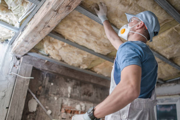 Best Commercial Insulation in Corrigan, TX