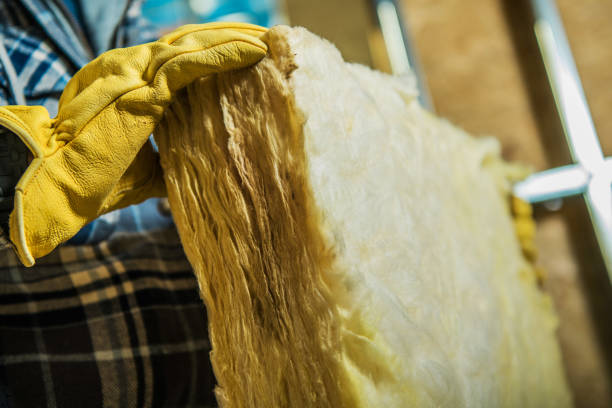 Professional Insulation Contractor in Corrigan, TX