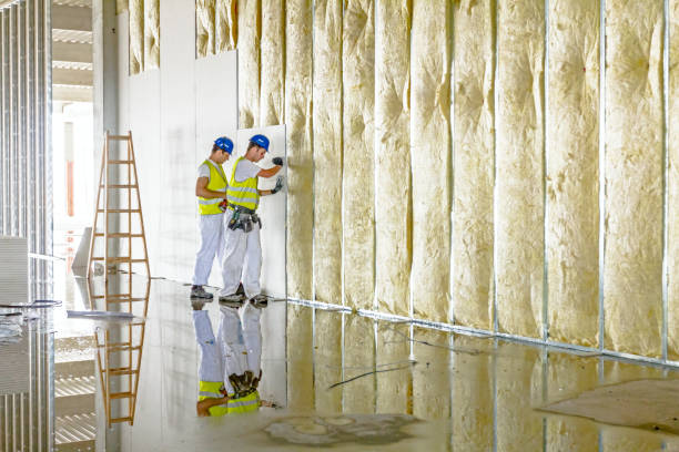 Best Specialized Insulation Services in Corrigan, TX